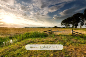Ayudas LEADER 2025.2